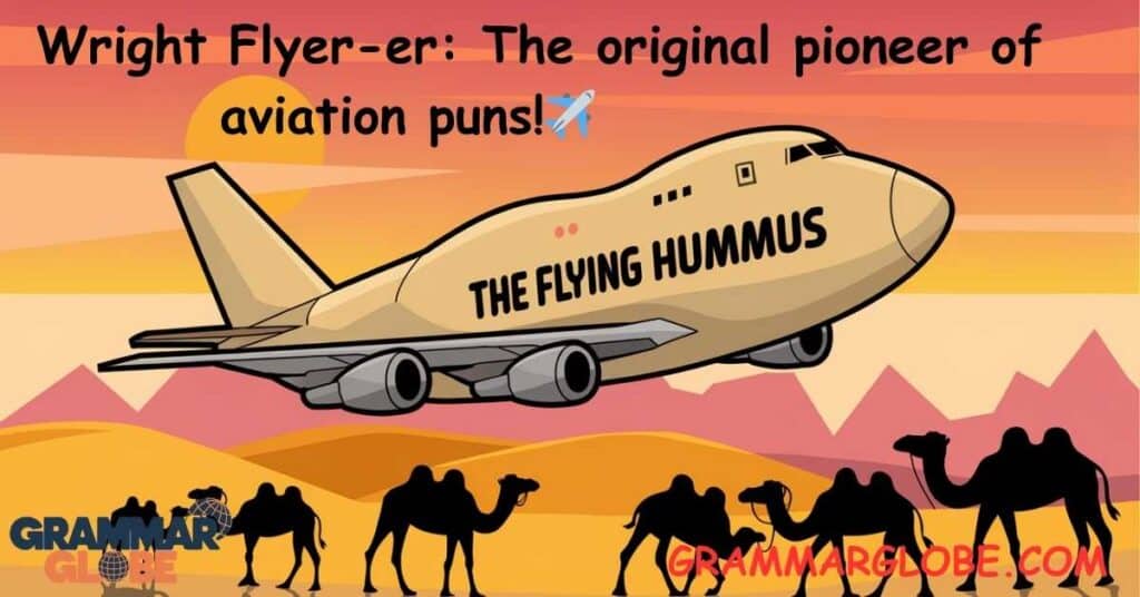 Airplane Puns Funny Names: