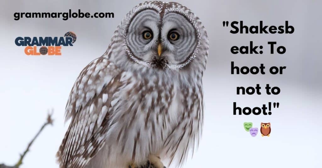 Famous Owl Name Puns