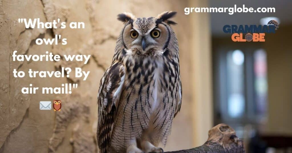 Owl Behavior Puns