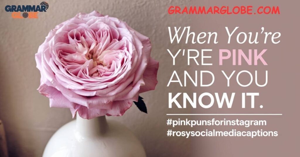 Pink Puns For Instagram