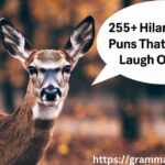 255+ Hilarious Deer Puns That Will Make You Laugh Out Loud!