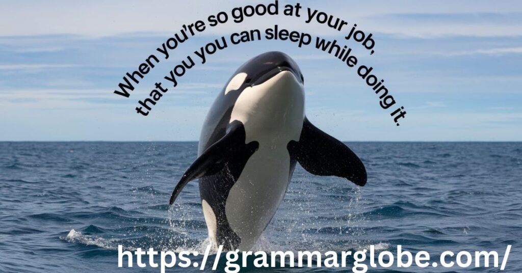 Funny Orca Puns and Jokes