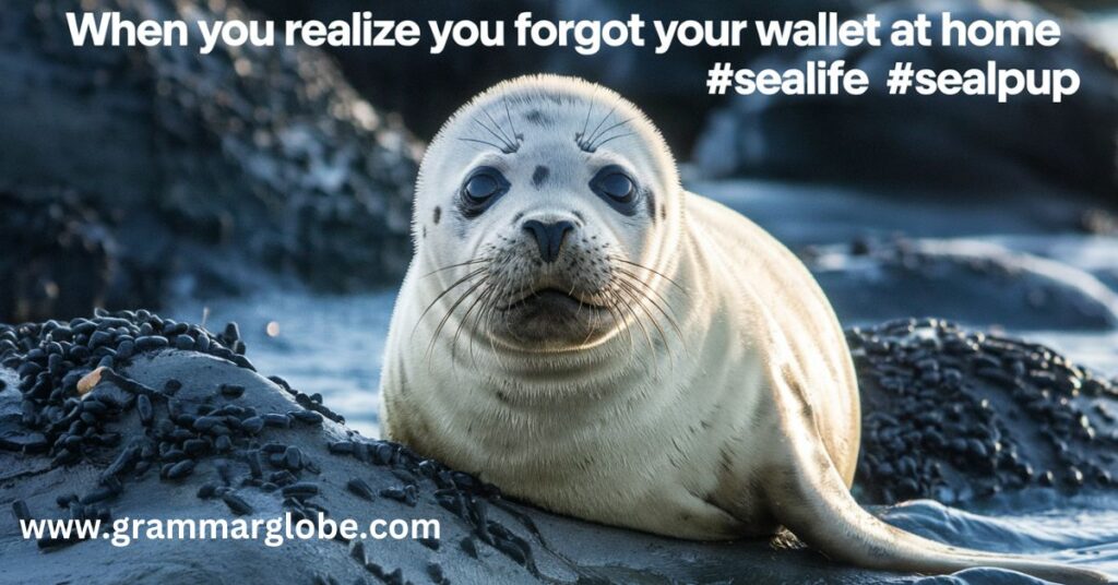 Funny Seal Puns and Jokes 