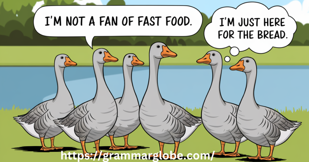 Quacky Sayings About Geese 