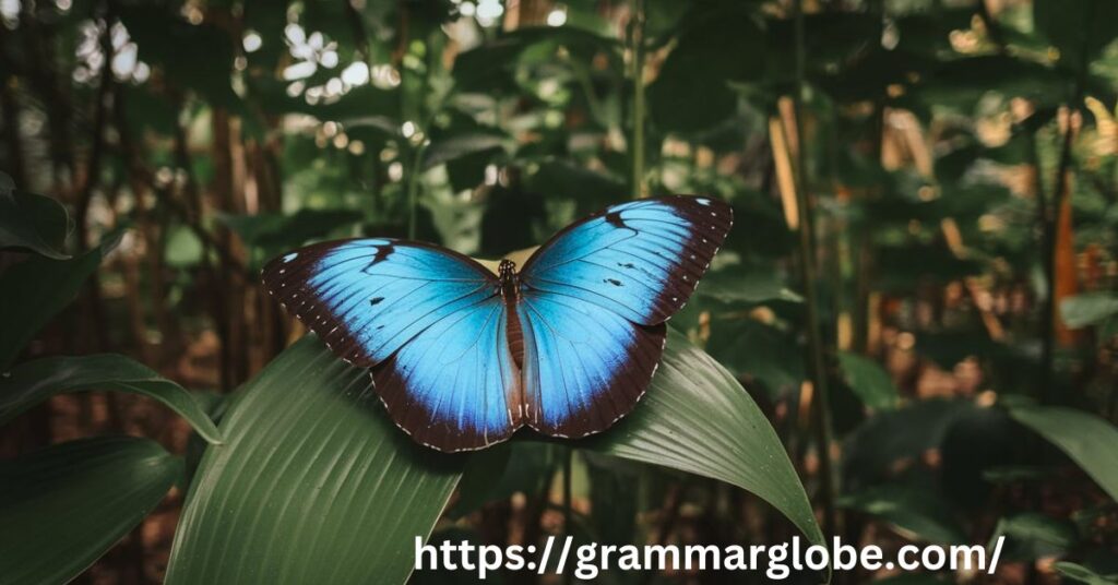 Hilarious Butterfly Puns to Brighten Your Day 