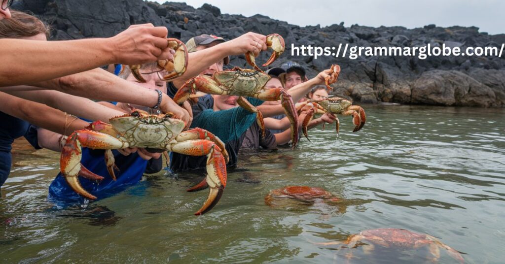 Shell-ebrate Life with These Insta-Worthy Crab Captions