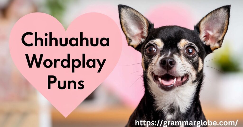 Wordplay Chihuahua  Puns to laugh 