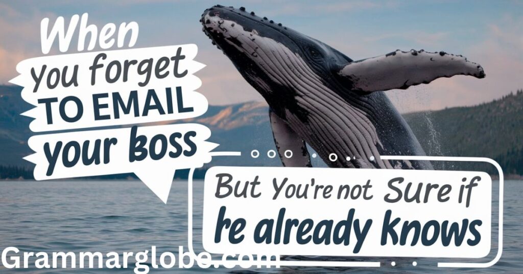 Funny Whale Puns and Jokes 