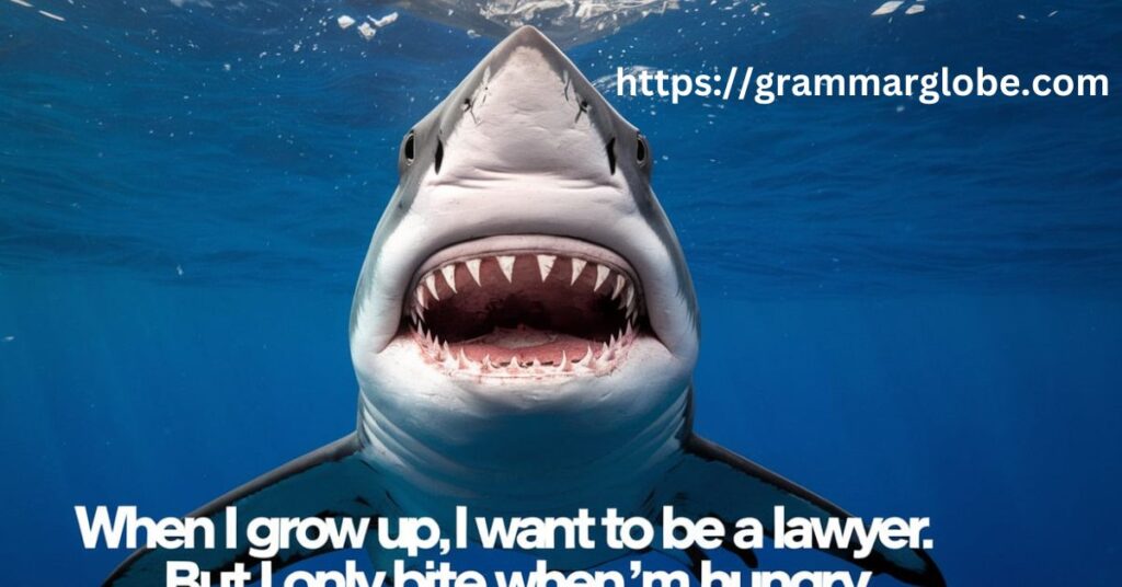 Shark Puns for Laughs and Jokes 