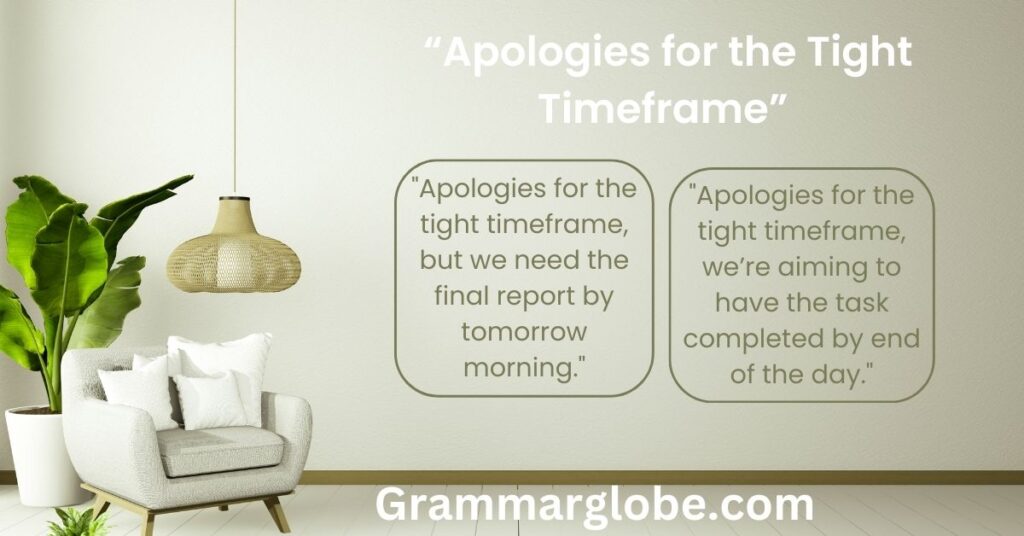 20. “Apologies for the Tight Timeframe”