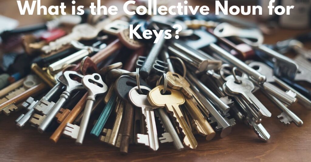 What is the Collective Noun for Keys?