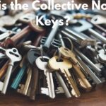 What is the Collective Noun for Keys?