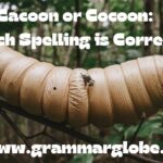 Cacoon-or-Cocoon-Which-Spelling-is-Correct